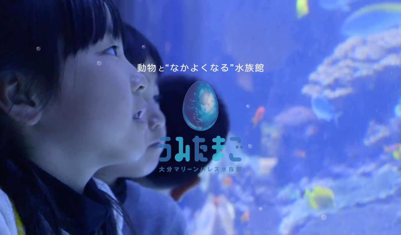 水族館うみたまご