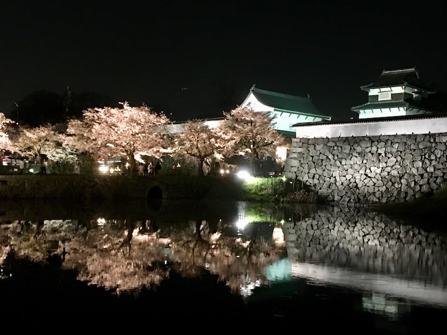 2018_hanami03