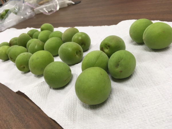 anysense_umeshu4