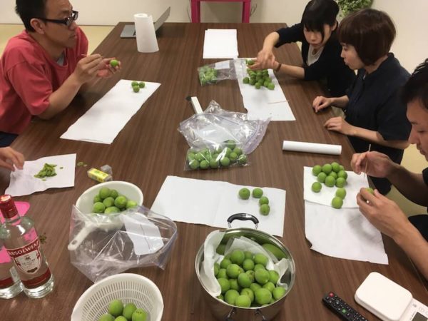 anysense_umeshu5