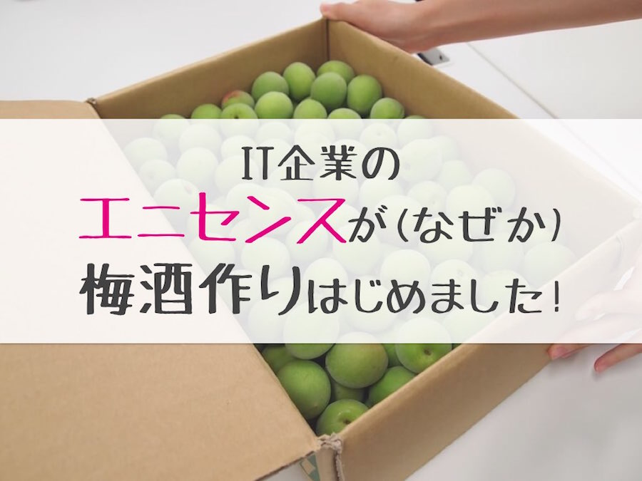 anysense_umeshu_top