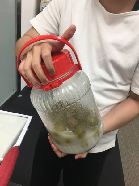 umeshu-syrup3